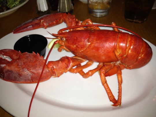 Lobster lunch